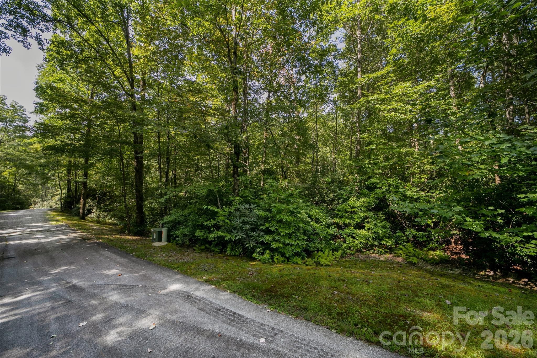 Underground Utilities! - Lot 7 Sweetwater Ridge Road, Balsam Grove