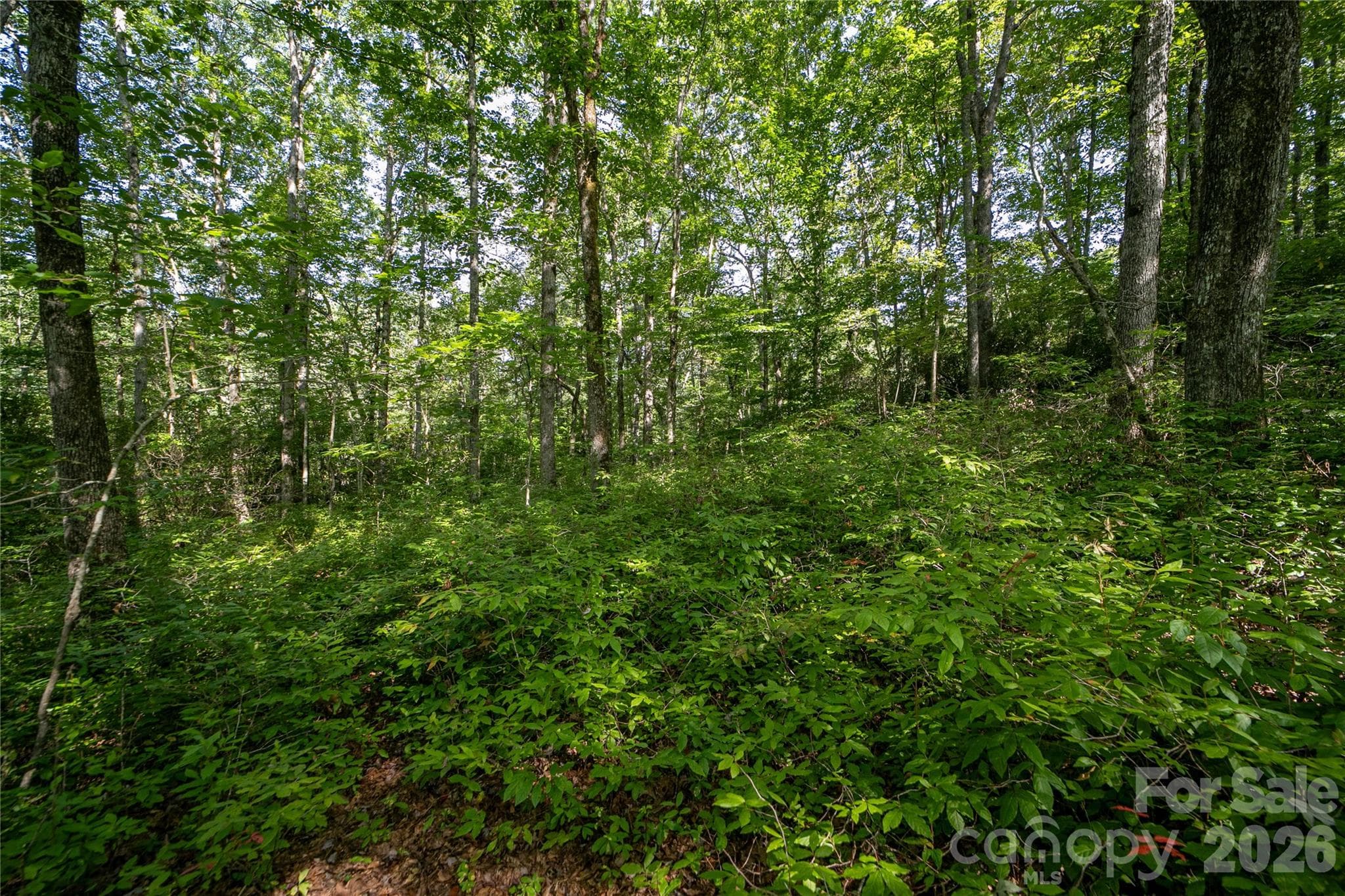 Perfect Mountain Setting! - Lot 8 Sweetwater Ridge Road, Balsam Grove