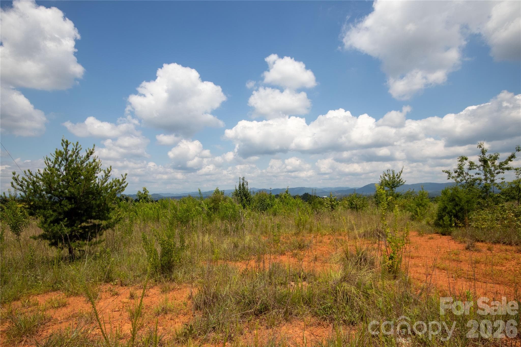 Unimproved Commercial at Lenoir, photo 4 of 68
