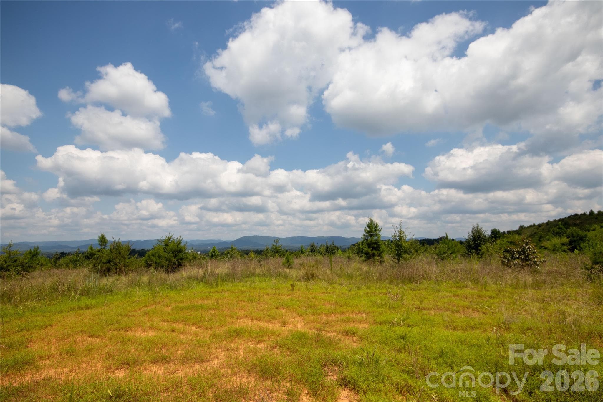 Unimproved Commercial at Lenoir, photo 8 of 68