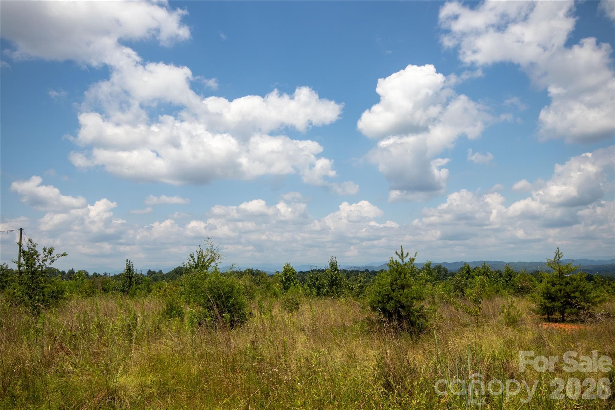 Unimproved Commercial at Lenoir, photo 10 of 68