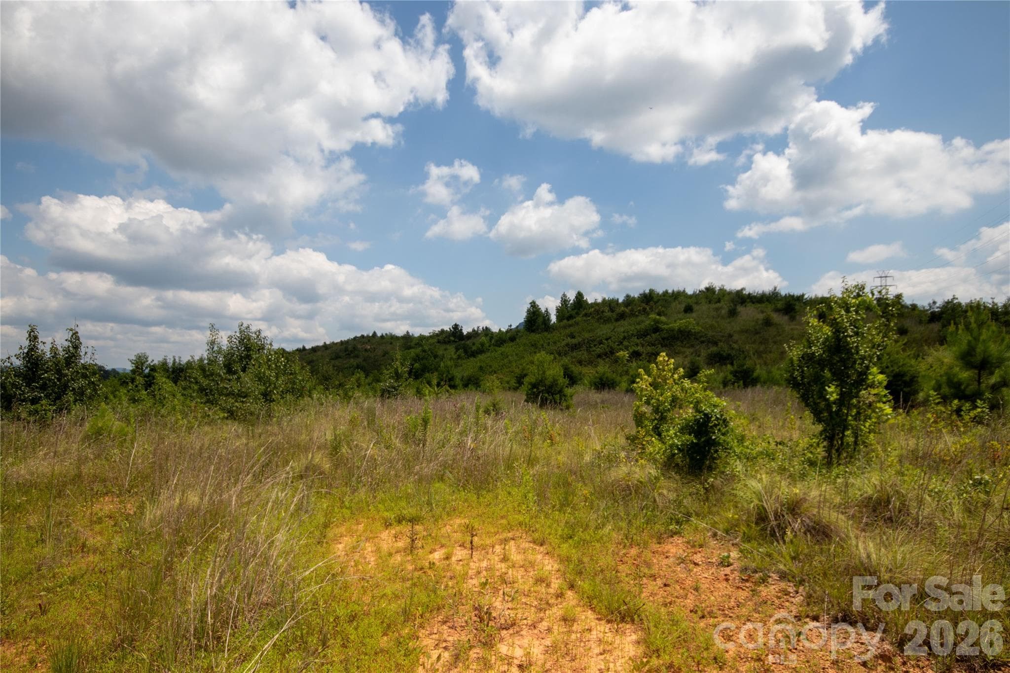 Unimproved Commercial at Lenoir, photo 12 of 68