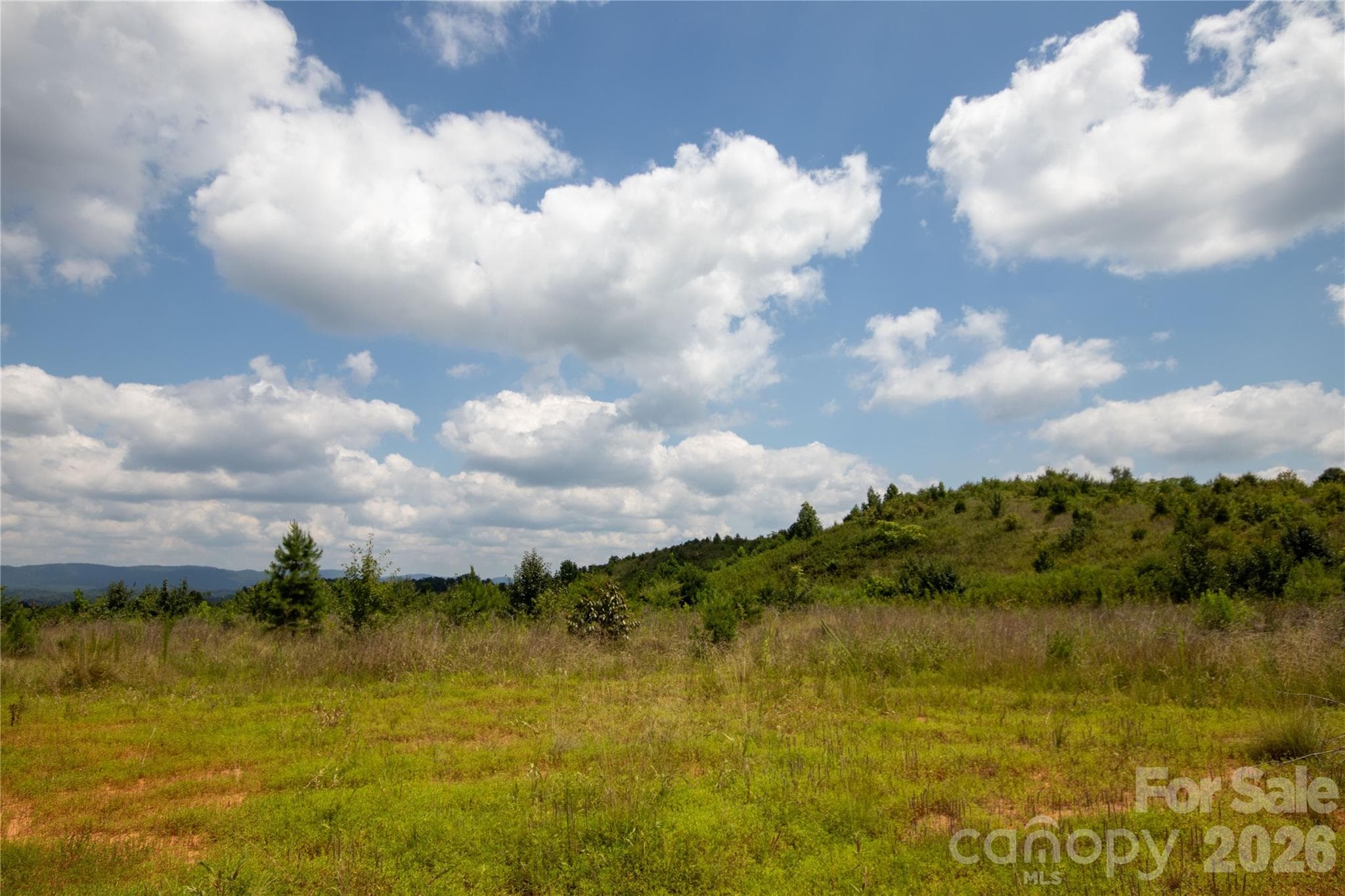 Unimproved Commercial at Lenoir, photo 14 of 68