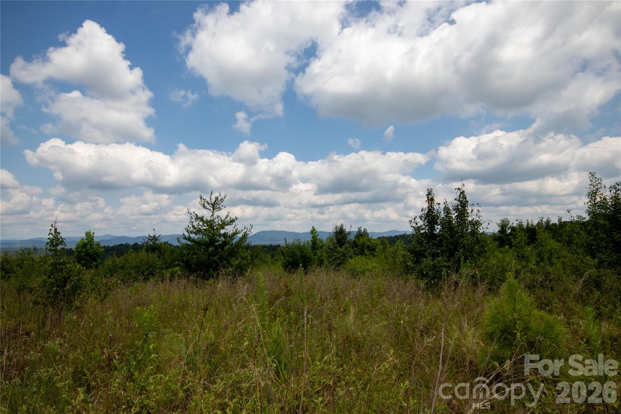 Unimproved Commercial at Lenoir, photo 16 of 68