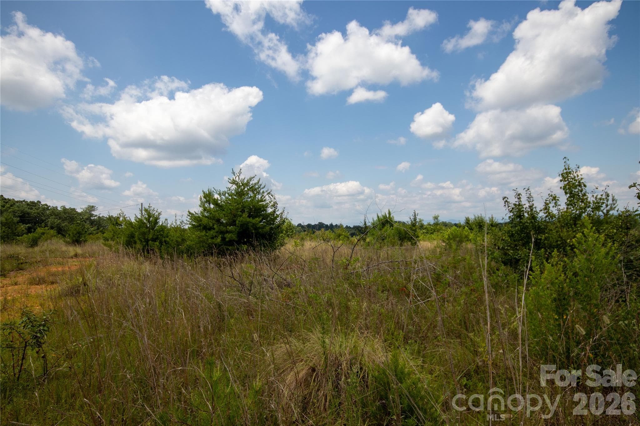 Unimproved Commercial at Lenoir, photo 18 of 68
