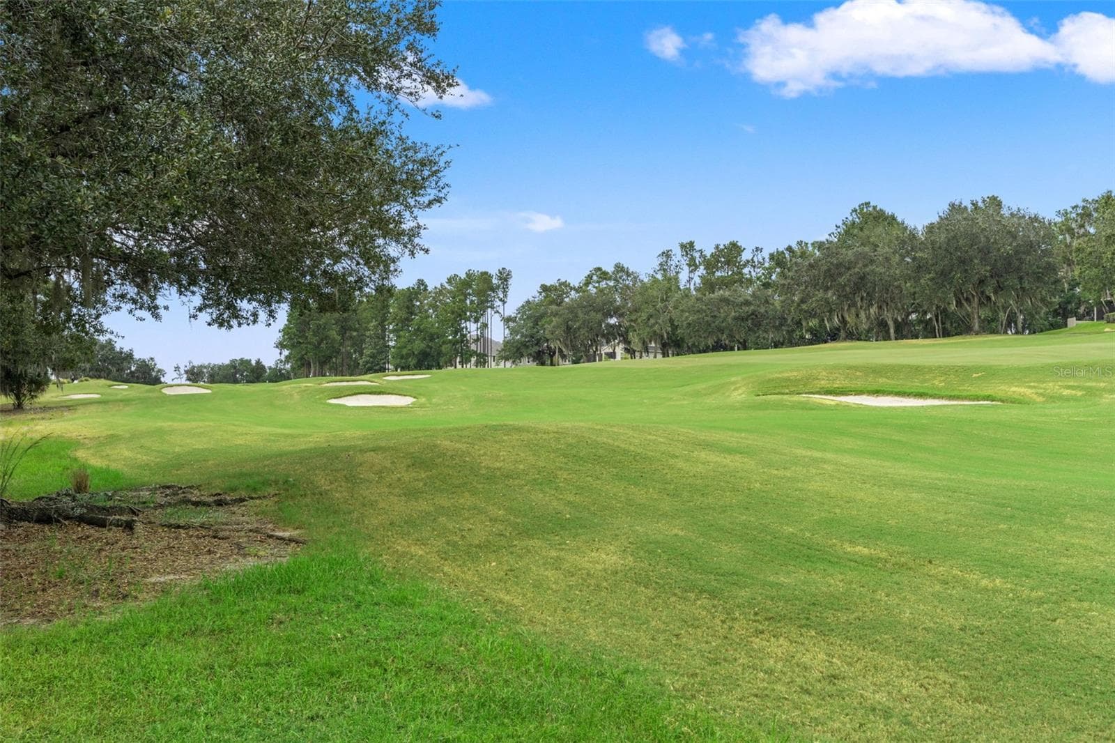 Single Family Residence at 4552 SOUTHERN VALLEY LOOP, BROOKSVILLE, photo 50 of 61