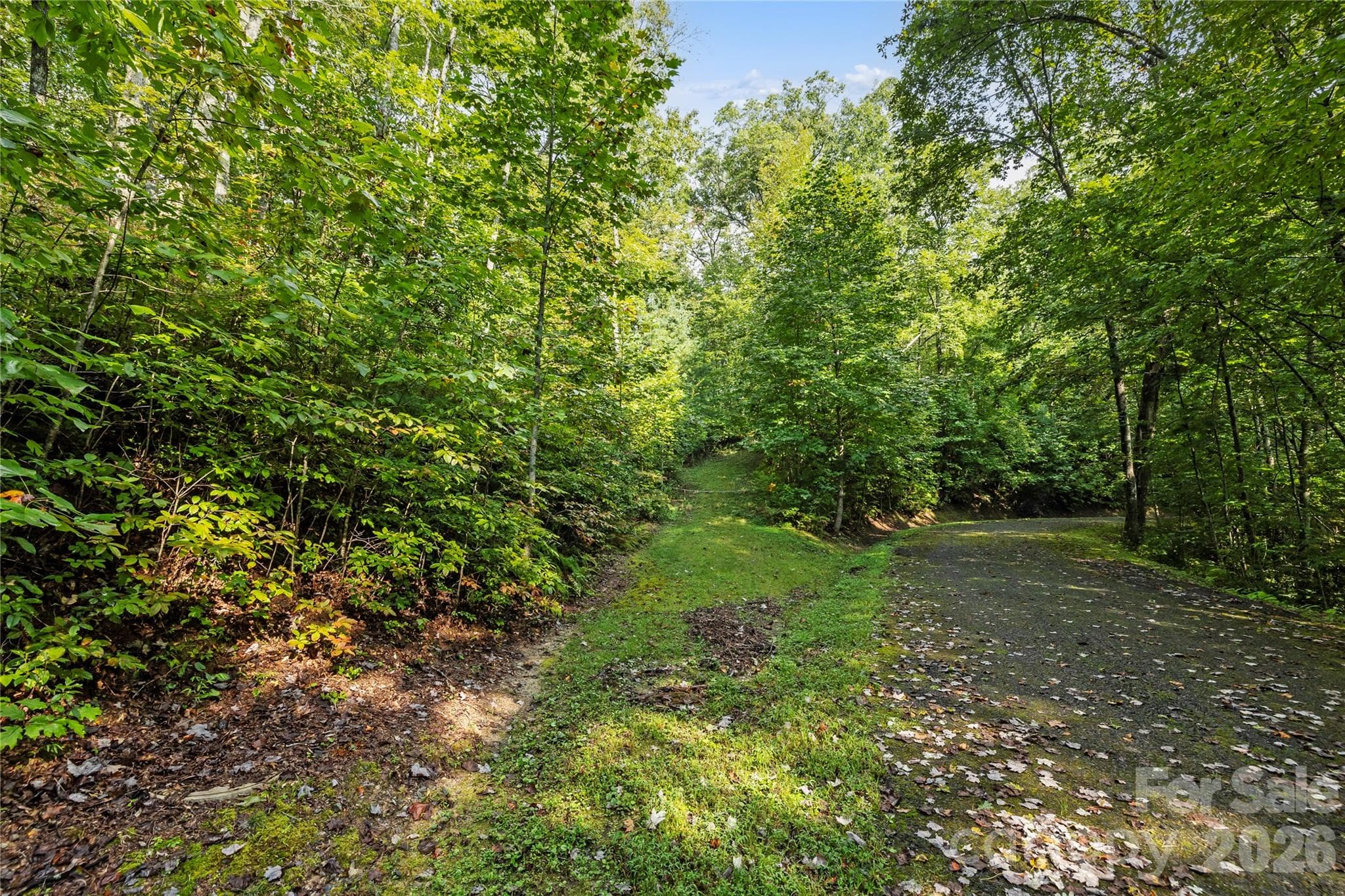 Roads In Place - TBD Barts Branch Drive, Balsam Grove