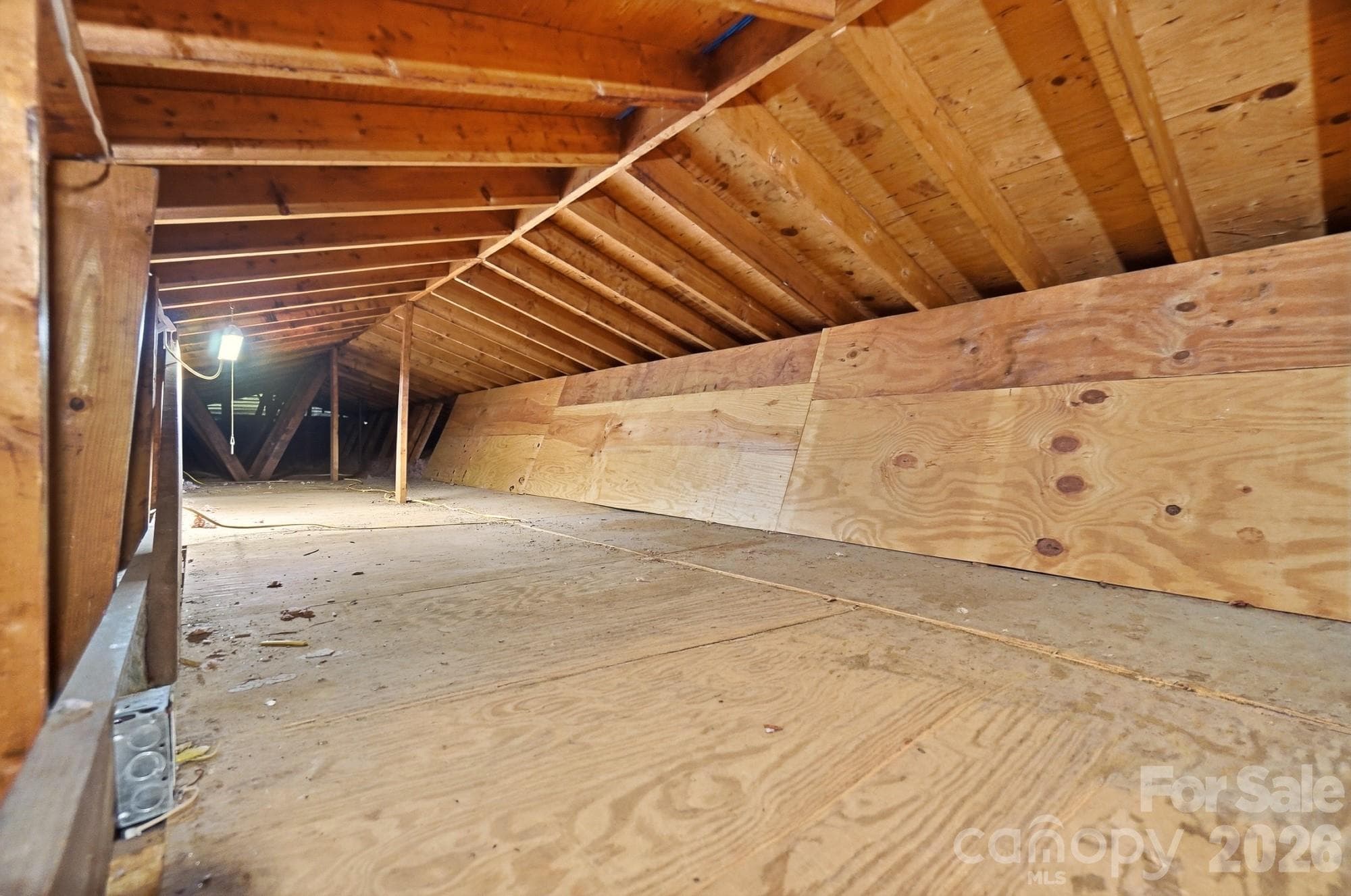 Attic - 213 Lakeview Drive, Harrisburg
