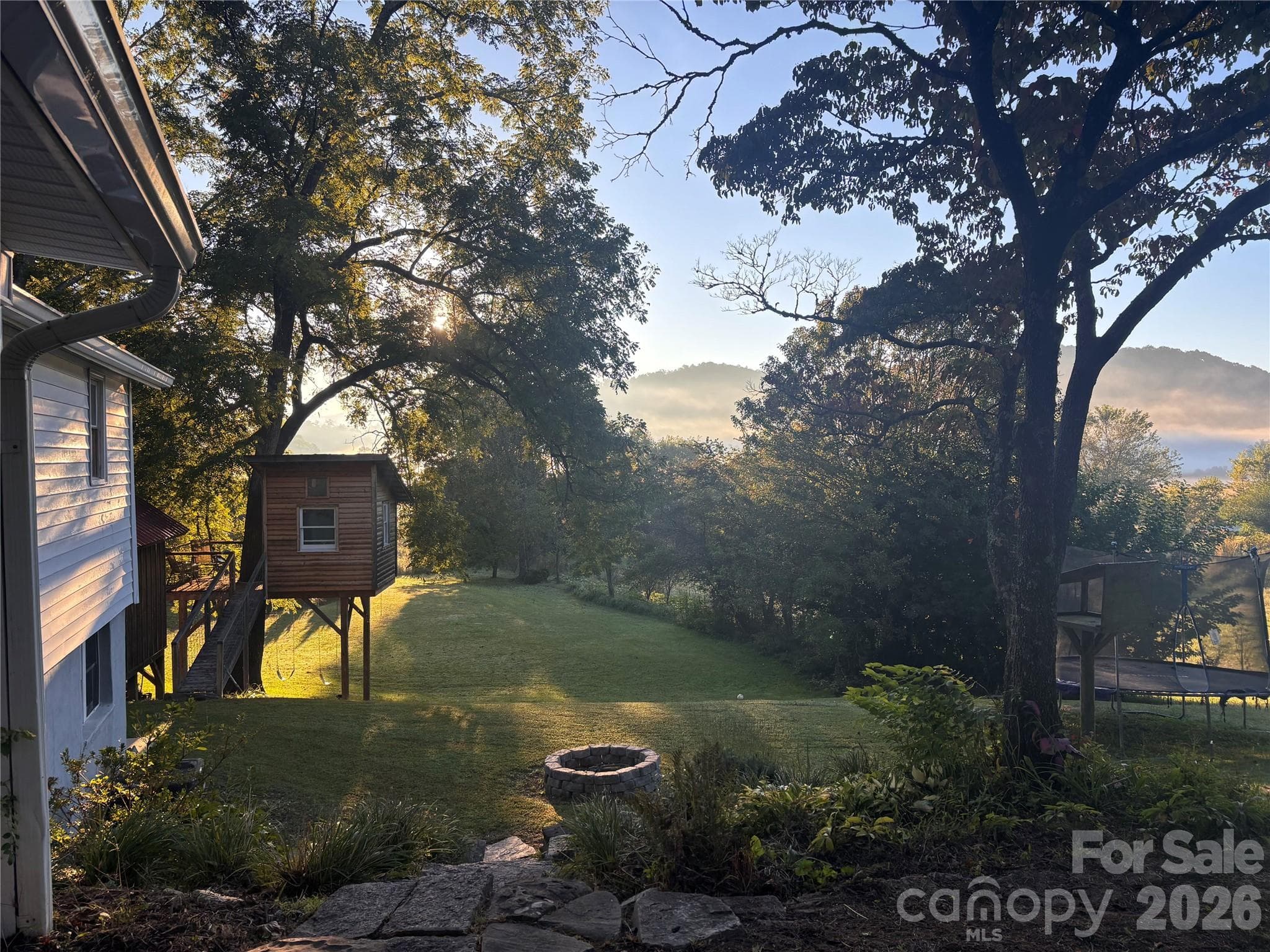 Summer side yard in the early morning - 195 Whitmire Road, Brevard
