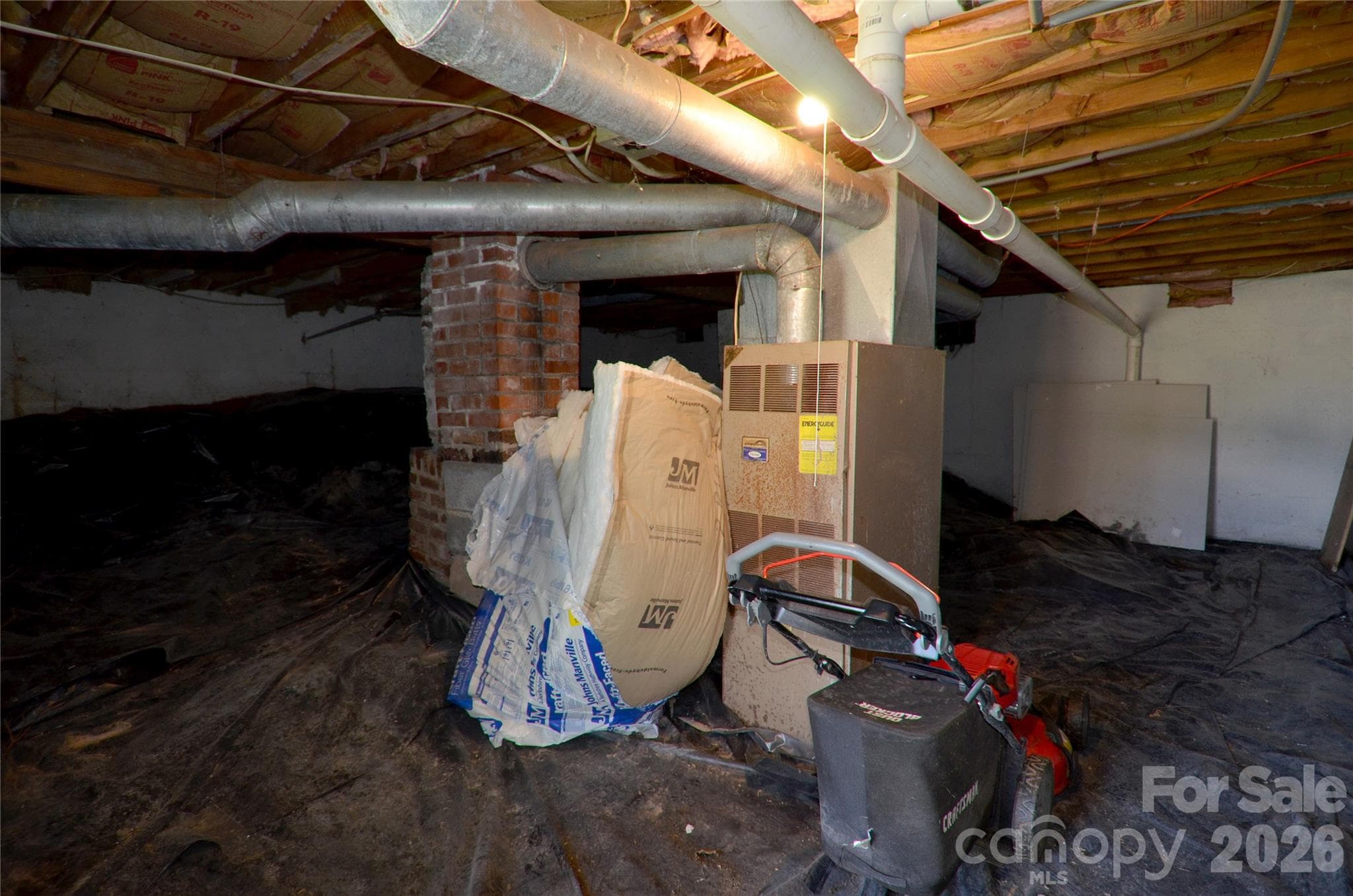 Basement - 329 Morehead Road, Marion