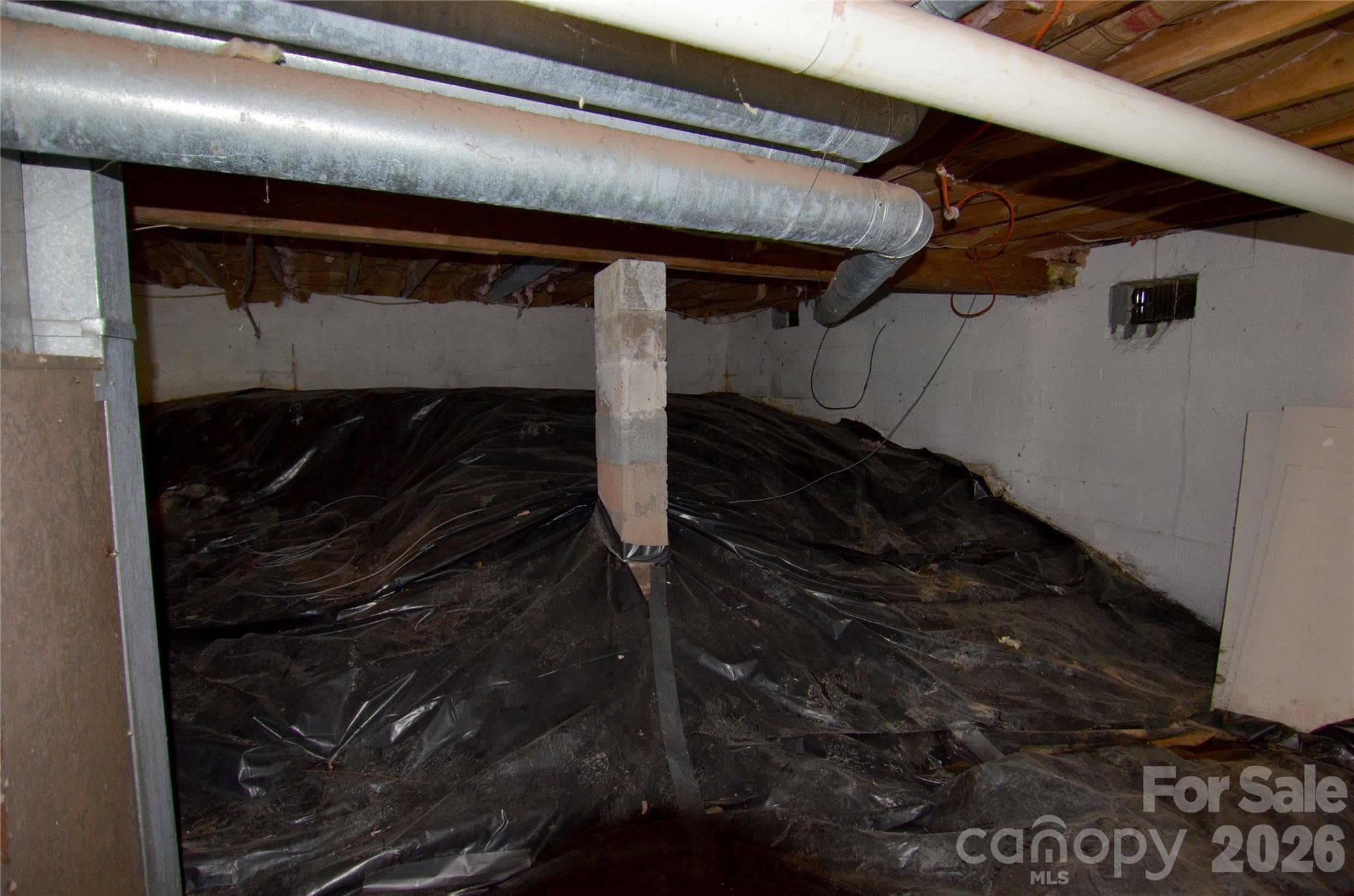 Basement - 329 Morehead Road, Marion