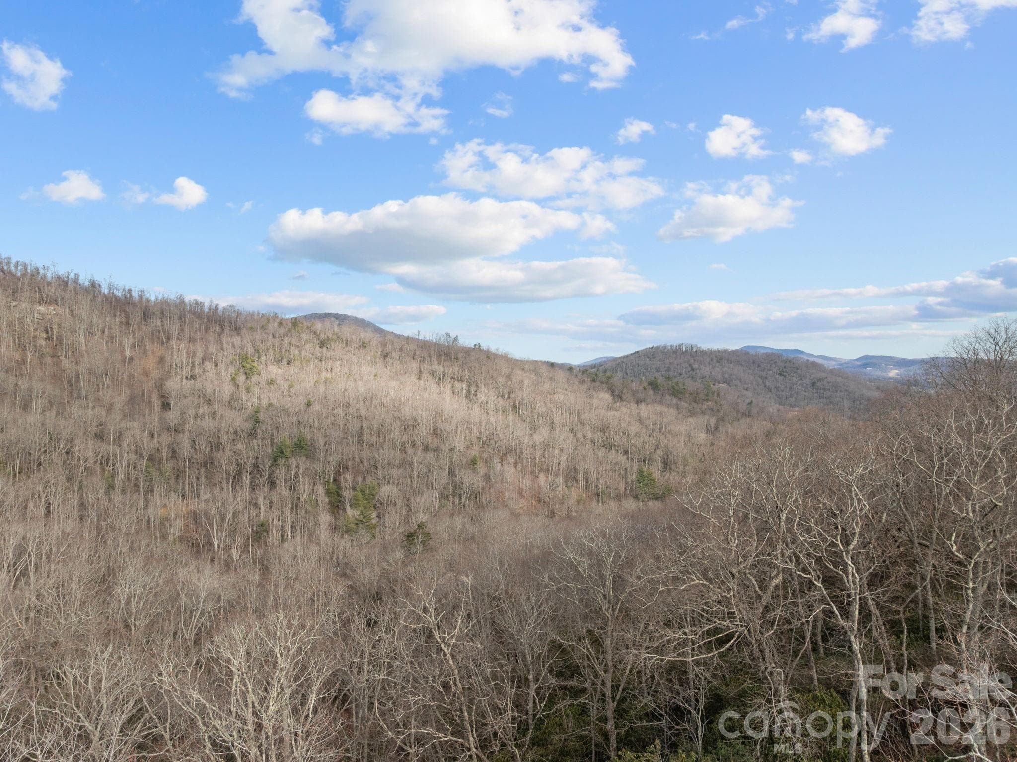 Lot at 1443 Old Mill Road, Hendersonville, photo 2 of 7