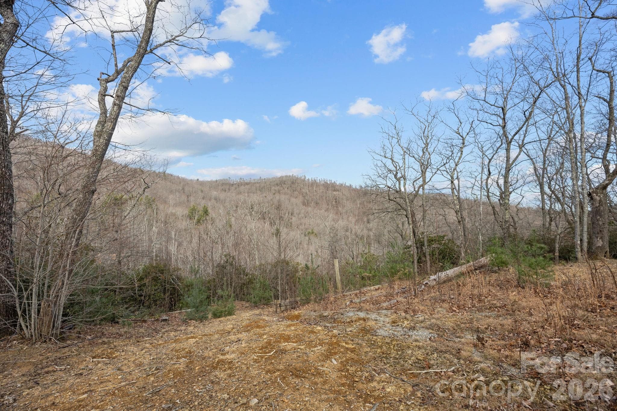 Lot at 1443 Old Mill Road, Hendersonville, photo 4 of 7