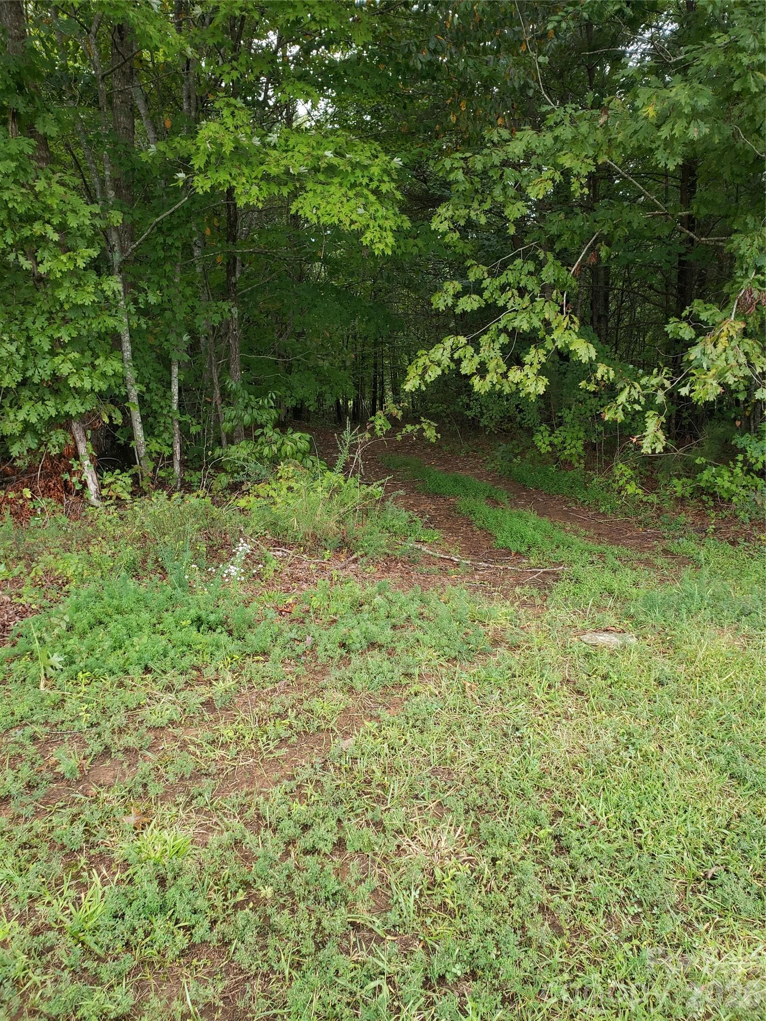 Road bed into property - 00 North Star Drive, Union Mills