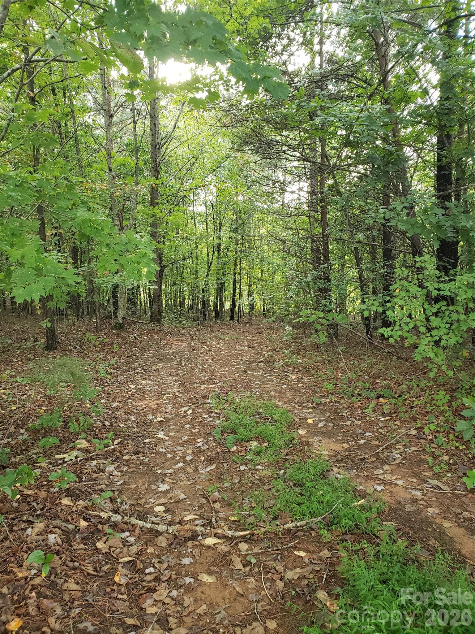 Lot at 00 North Star Drive, Union Mills, photo 5 of 13