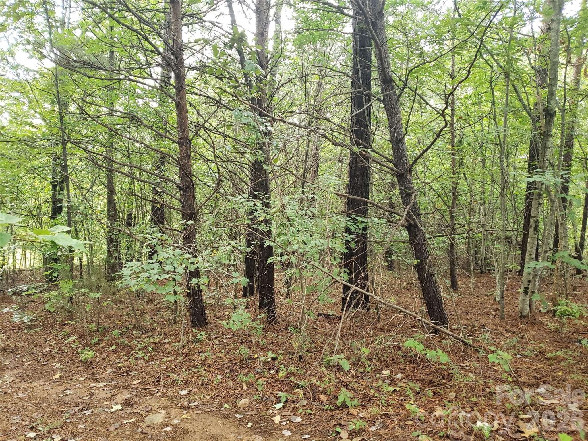 Lot at 00 North Star Drive, Union Mills, photo 6 of 13