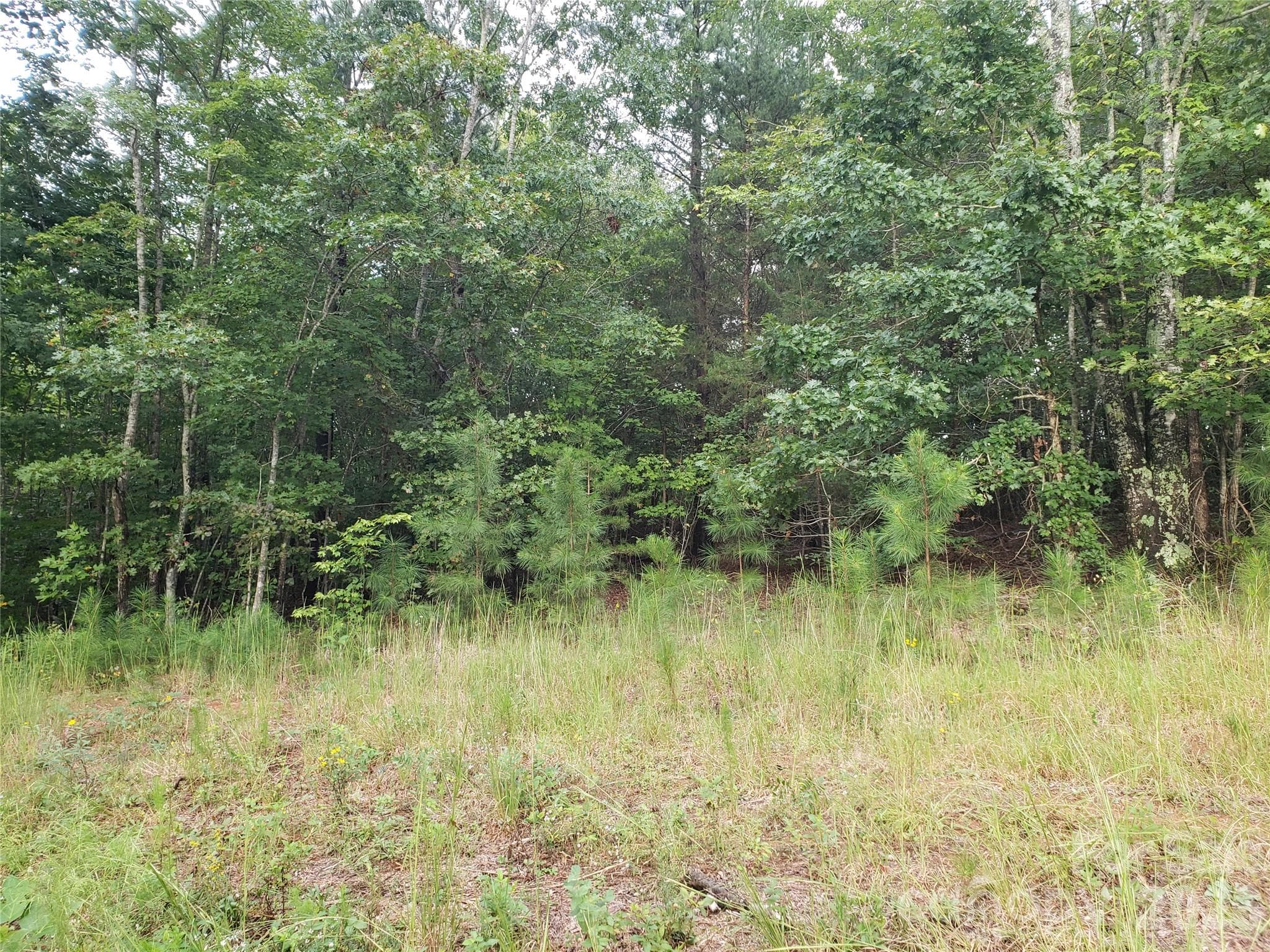 Back of property - 00 North Star Drive, Union Mills