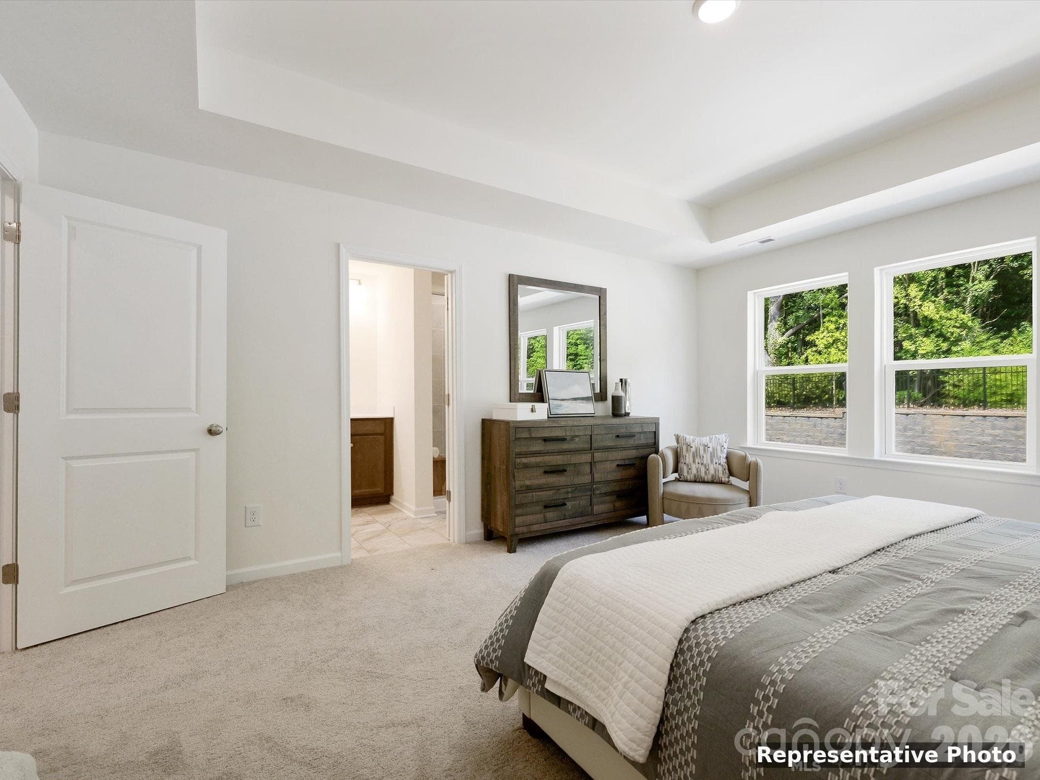 Tray Ceiling - Charlotte