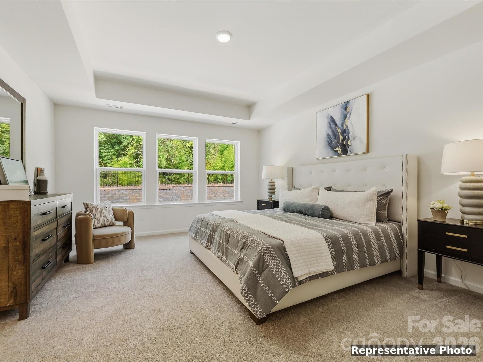 Tray Ceiling - Charlotte