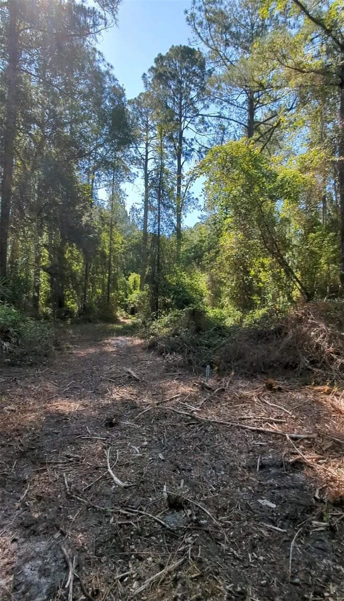 Land at SW 126TH AVE, LAKE BUTLER, photo 2 of 8