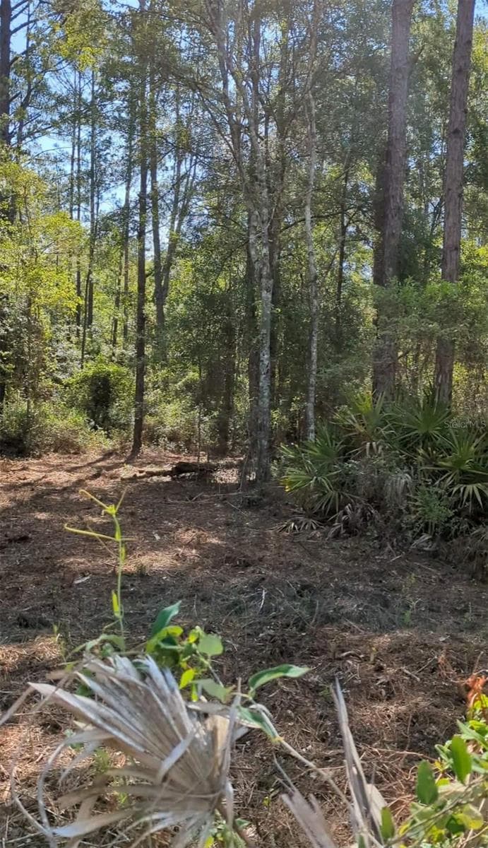 Land at SW 126TH AVE, LAKE BUTLER, photo 3 of 8