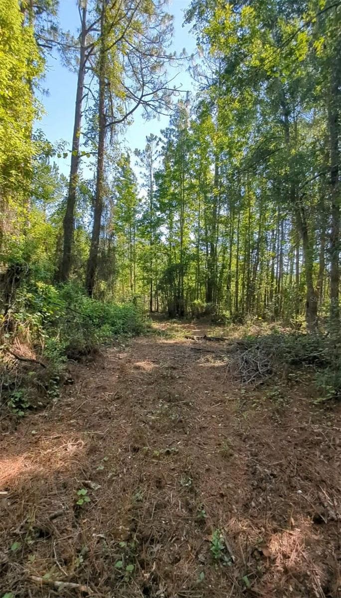 Land at SW 126TH AVE, LAKE BUTLER, photo 4 of 8