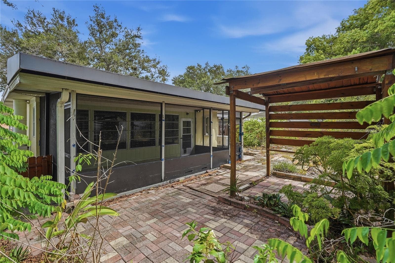 Back Yard - 1632 SAN MATEO DR, DUNEDIN