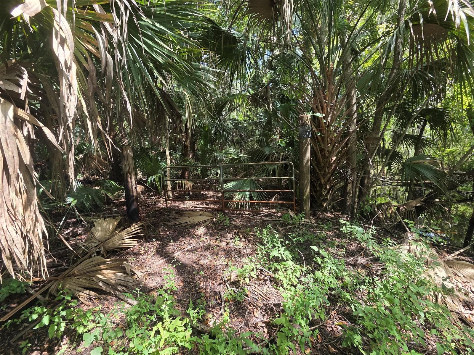 Land at 5950 S SANFORD AVE, SANFORD, photo 55 of 65