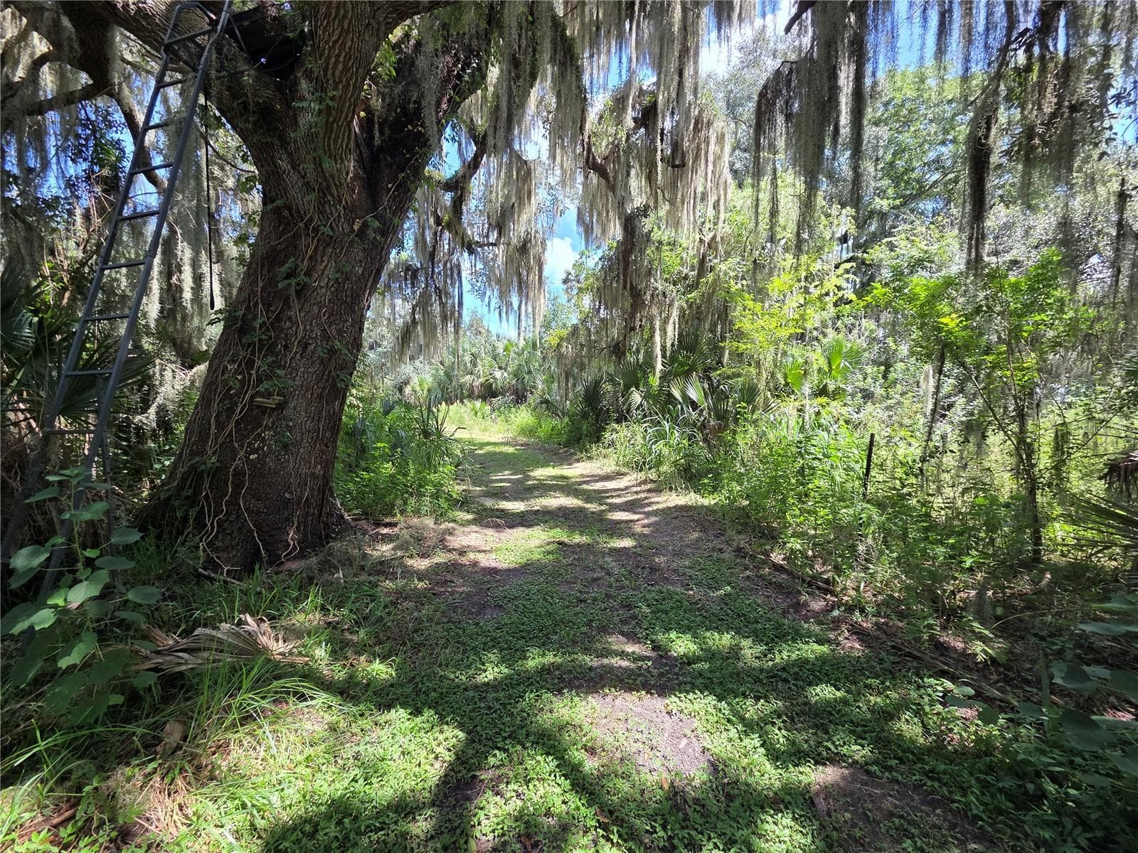 Land at 5950 S SANFORD AVE, SANFORD, photo 65 of 65