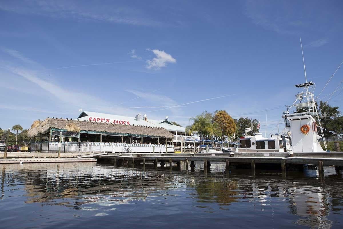 FROM YOUR BACKYARD TO TARPON IN 45 MINUTES BY BOAT.  CAPTAIN JACKS HAS DOCKING FOR YOU! - 6618 LEESIDE ISLE, HUDSON