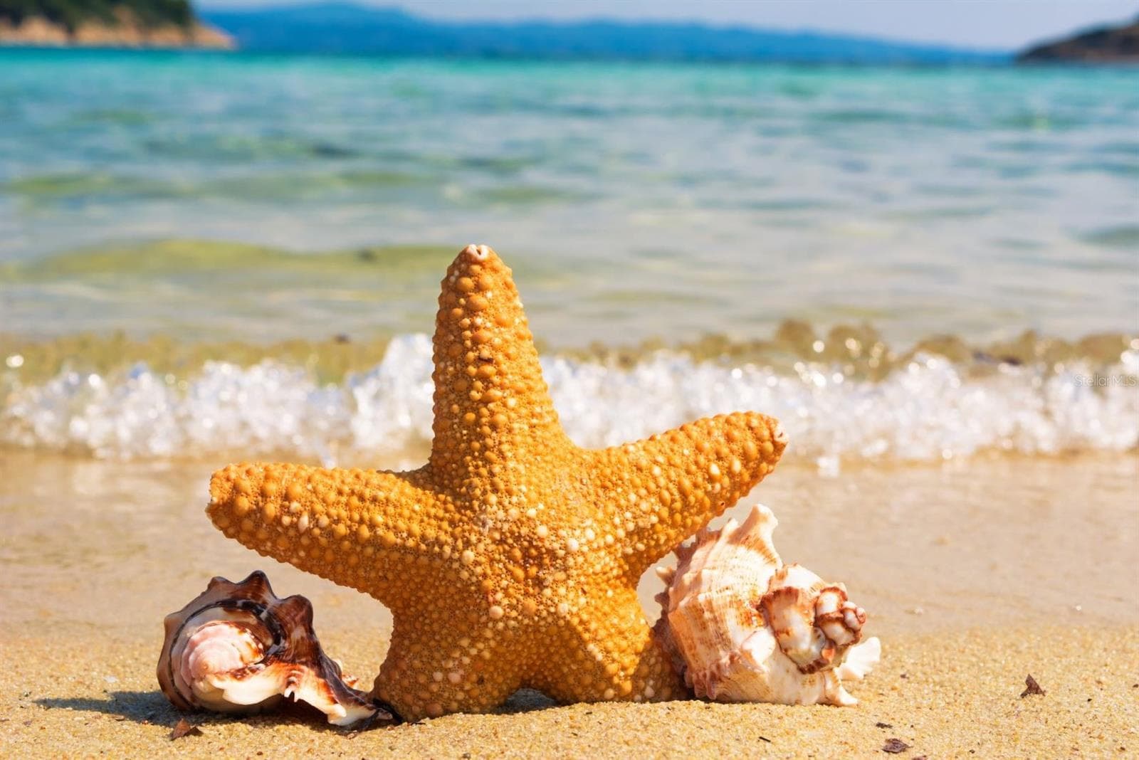 Come and feel the sand between your toes.  World reknown beaches are only 45 minutes away. - 215 GENET CT, SUN CITY CENTER