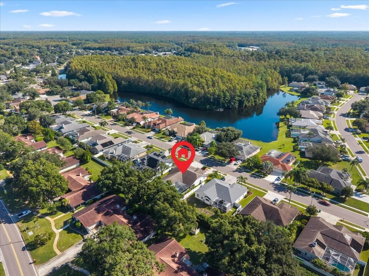 Aerial Rear View - 2656 SADDLEWOOD LN, PALM HARBOR