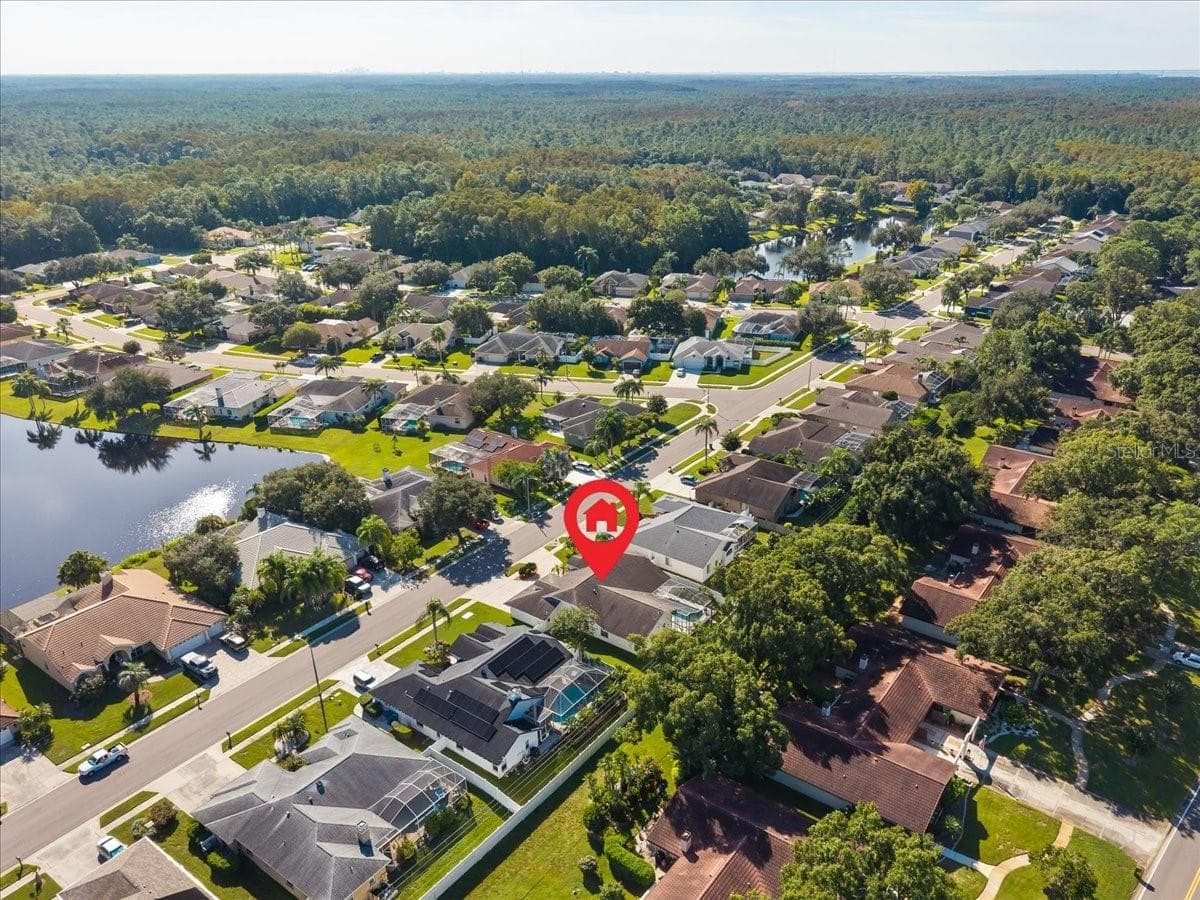 Community Aerial - 2656 SADDLEWOOD LN, PALM HARBOR