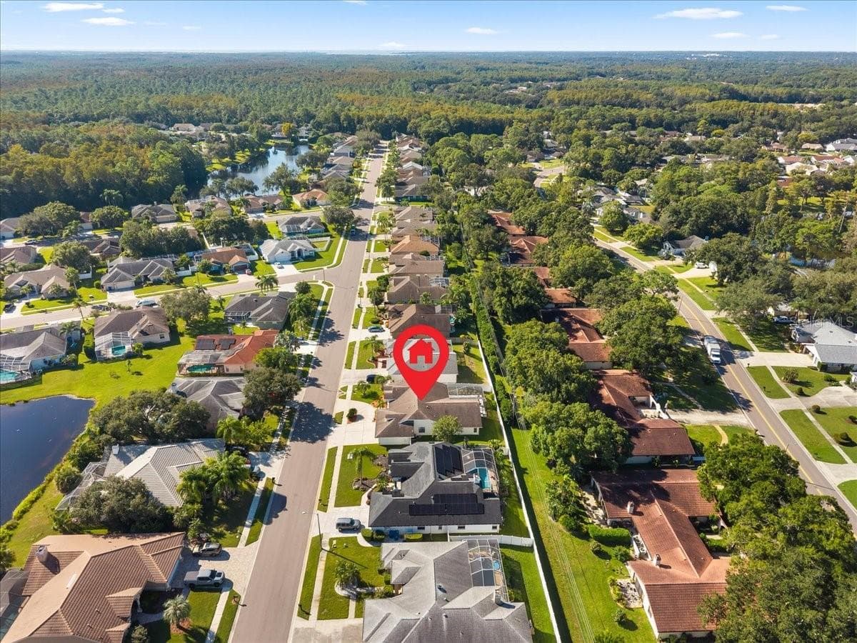 Community Aerial - 2656 SADDLEWOOD LN, PALM HARBOR