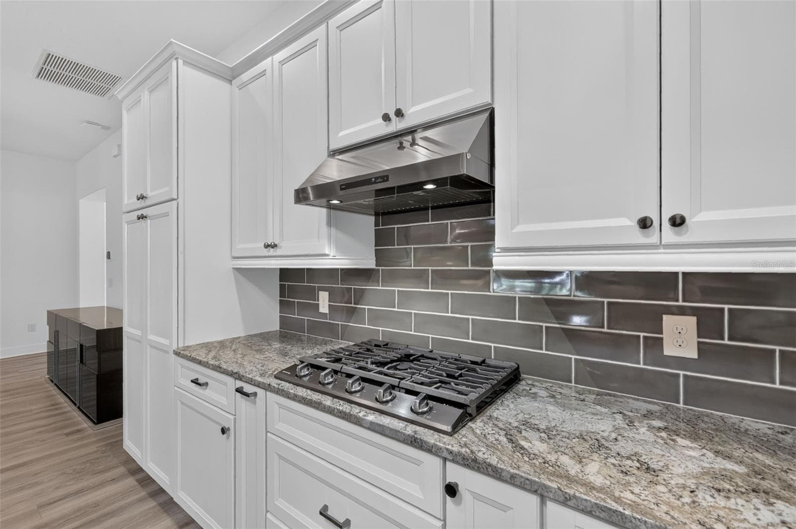 Kitchen - pantry on the left has roll out drawers - 2741 DUNHAM DR, THE VILLAGES
