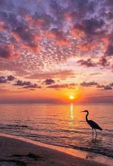 Condominium at 4485 GULF OF MEXICO DR #402, LONGBOAT KEY, photo 51 of 51