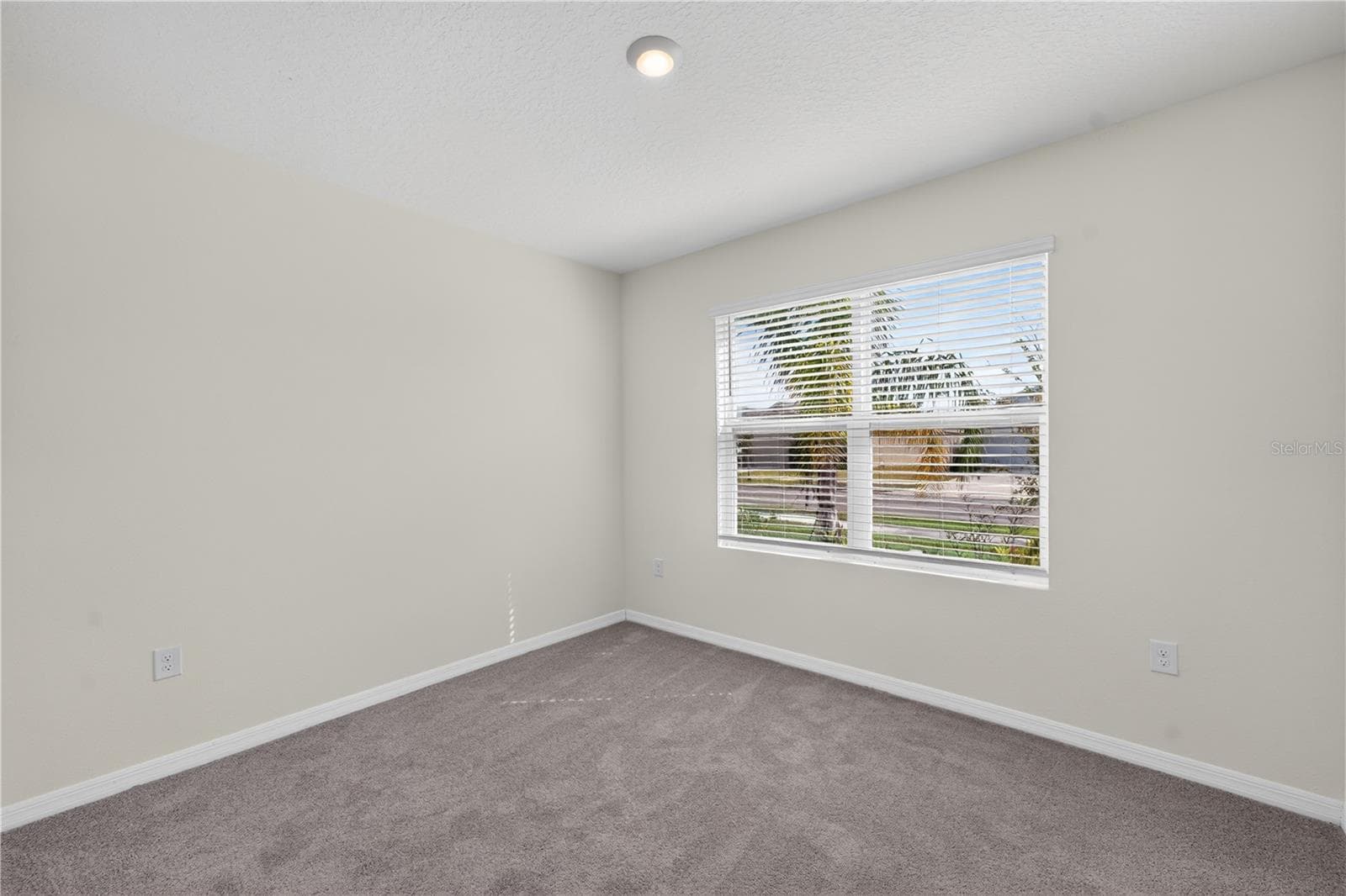 Single Family Residence at 8379 ENDER HILLS DR, WESLEY CHAPEL, photo 23 of 41