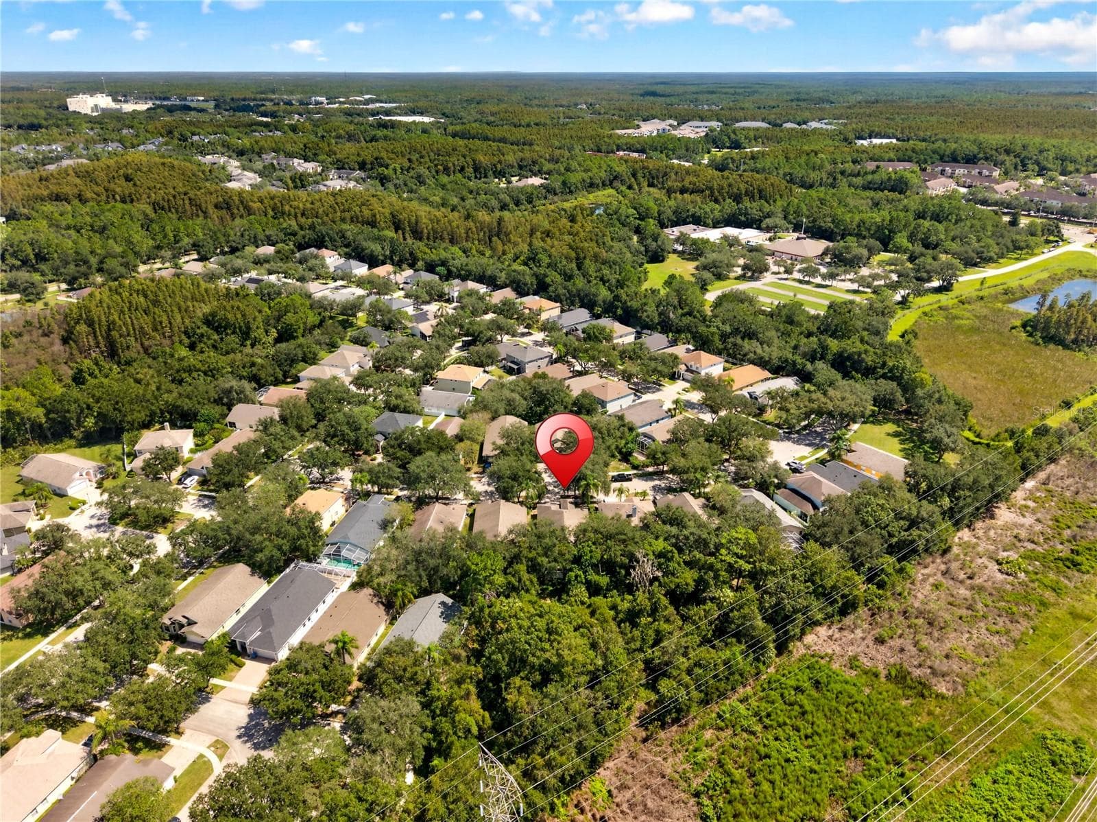 Single Family Residence at 5209 ABBEY PARK AVE, TAMPA, photo 66 of 67