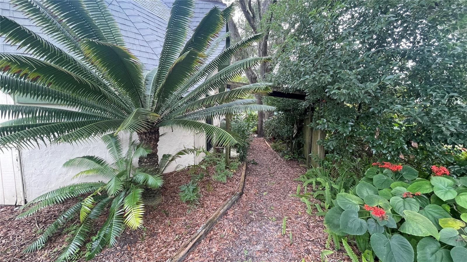 South side path front to backyard - 21004 NEGRIL CT, LUTZ