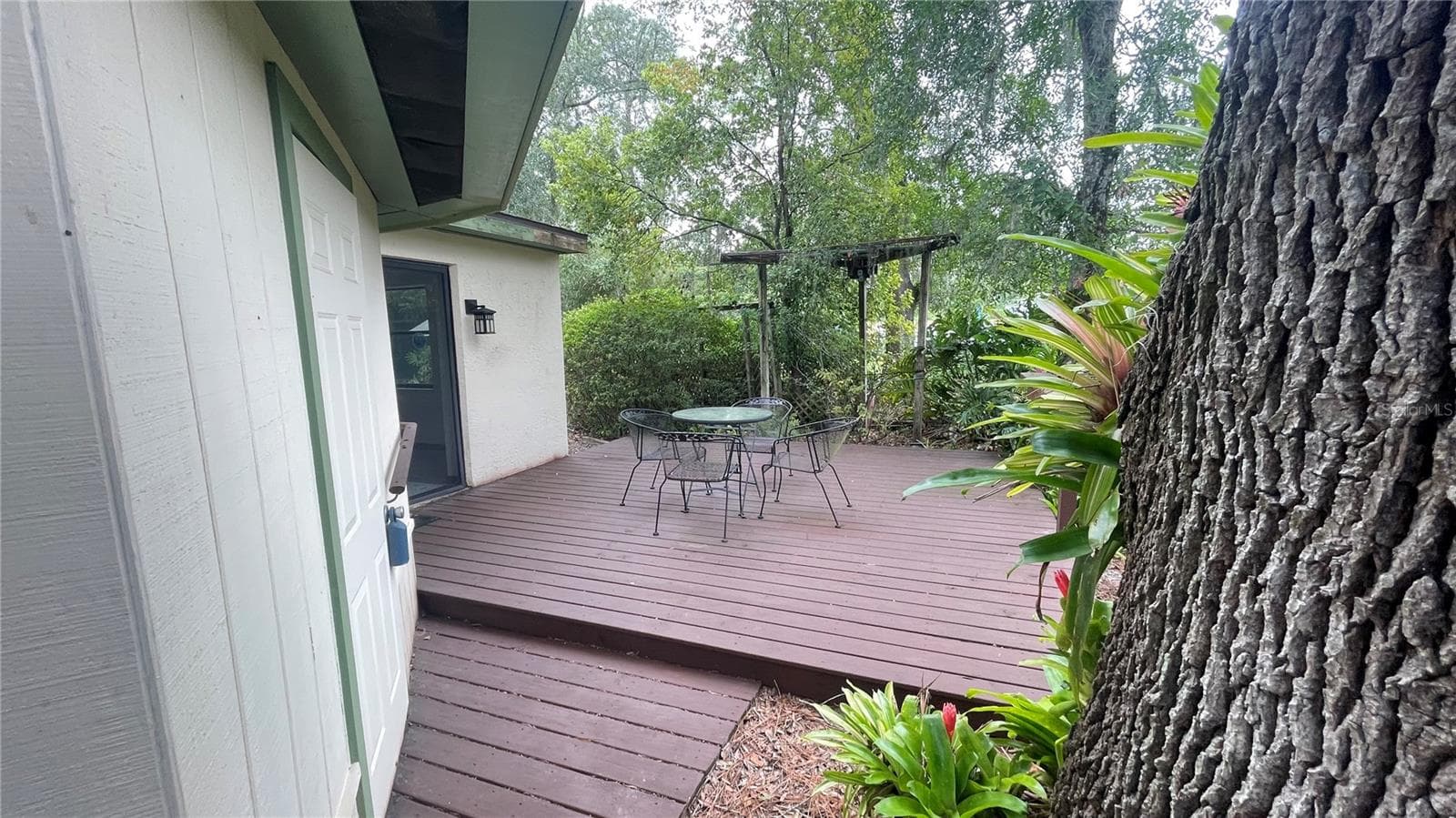 Deck - 21004 NEGRIL CT, LUTZ
