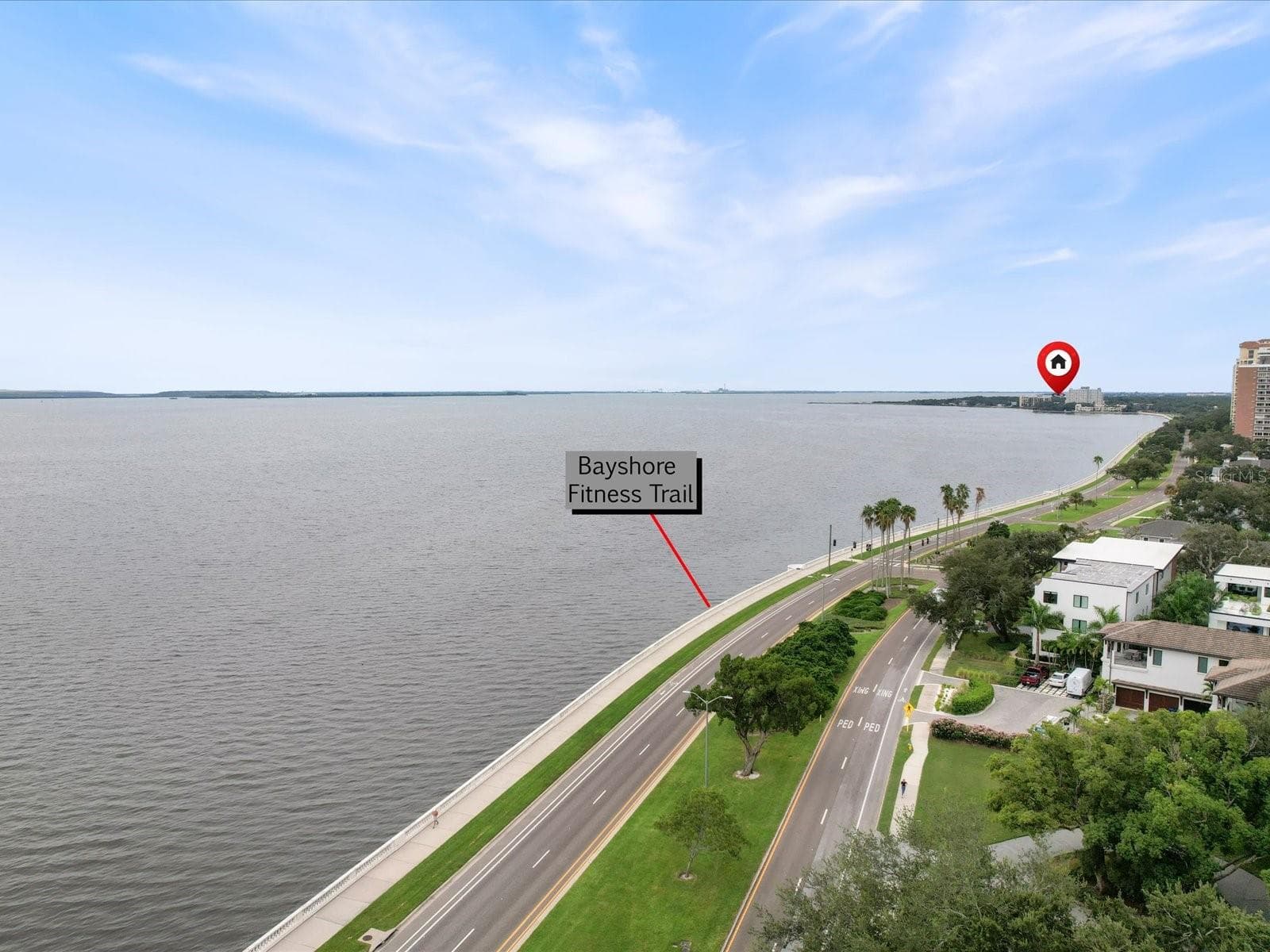Condominium at 4950 BAYSHORE BLVD #28, TAMPA, photo 4 of 49