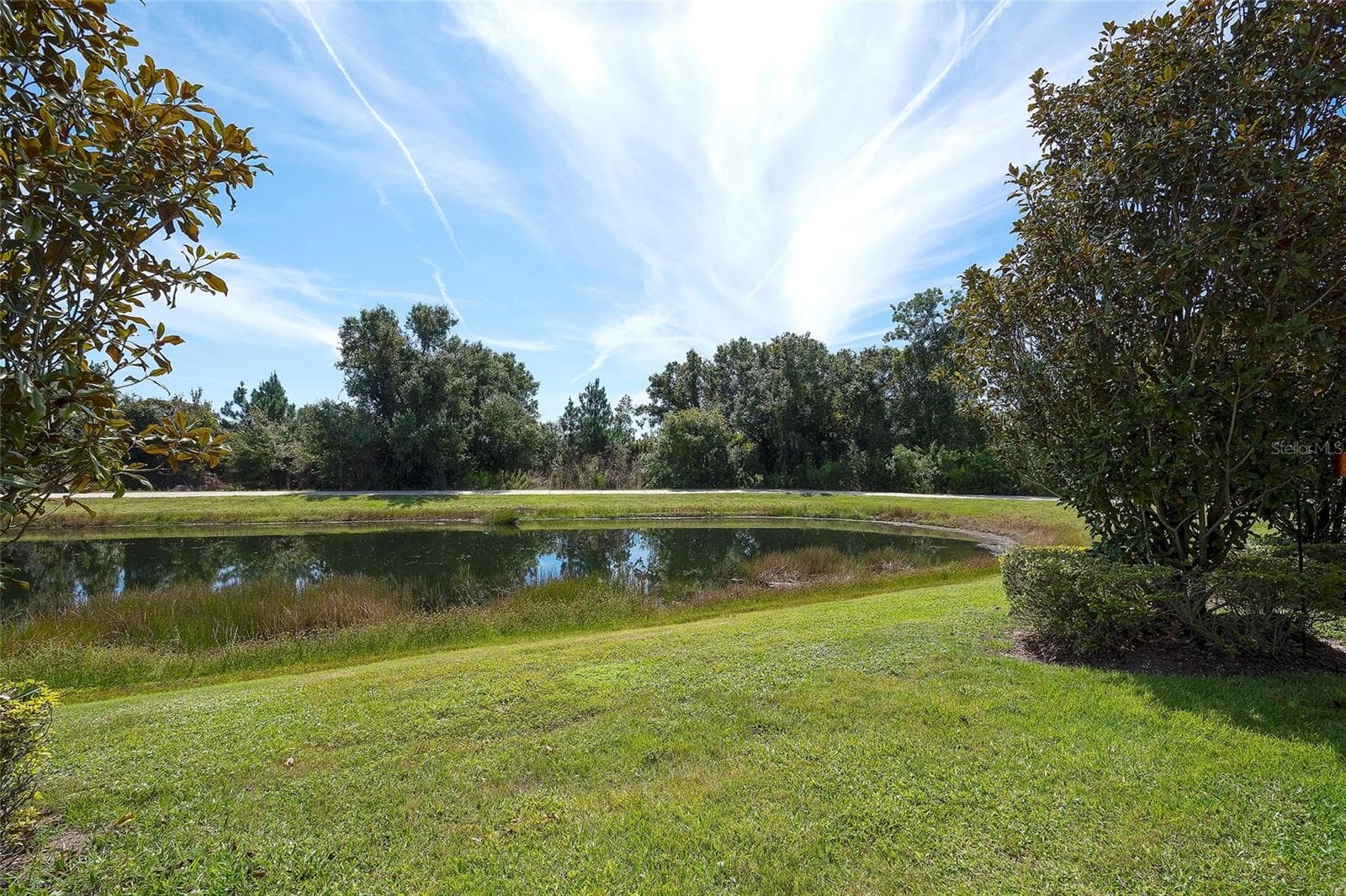 The pond and preserve view - 12207 TRAILHEAD DR, BRADENTON