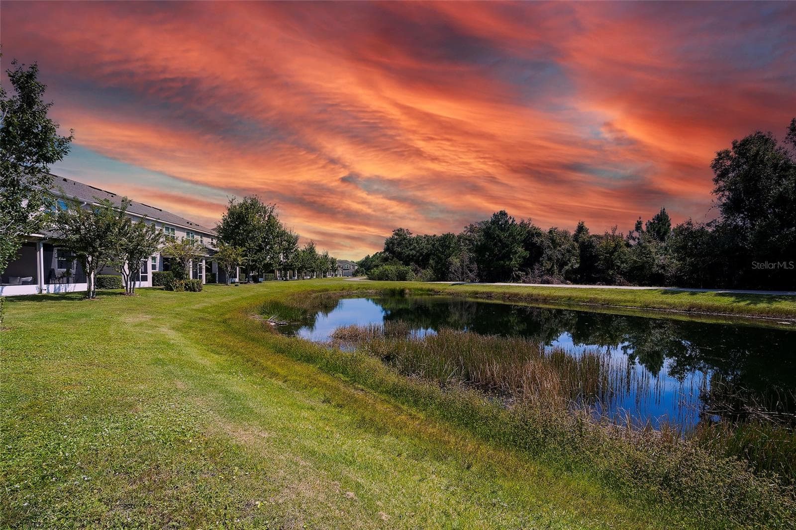 The perfectly painted sky at the end of the day - 12207 TRAILHEAD DR, BRADENTON