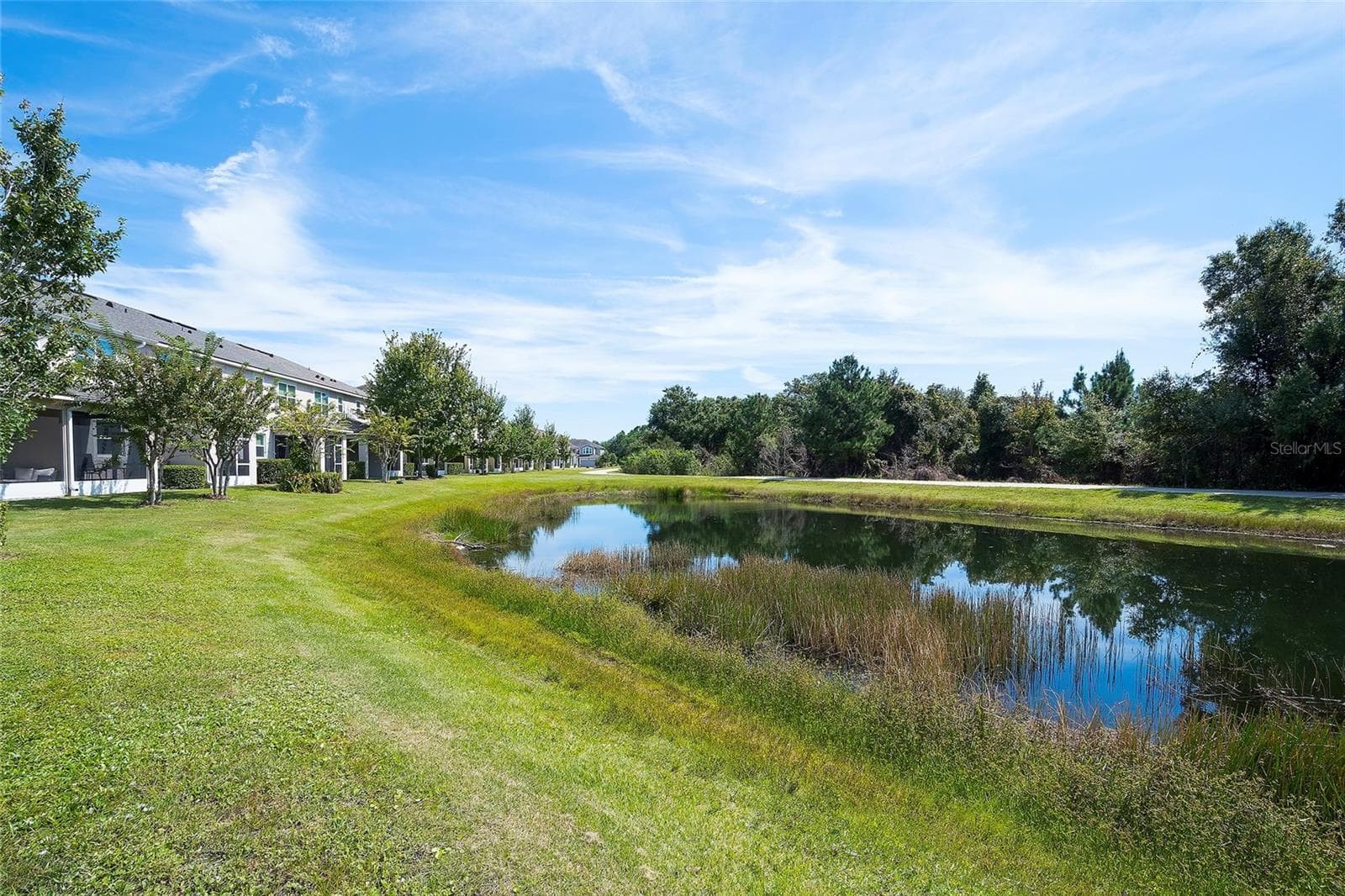 The pond and walking trail behind - 12207 TRAILHEAD DR, BRADENTON