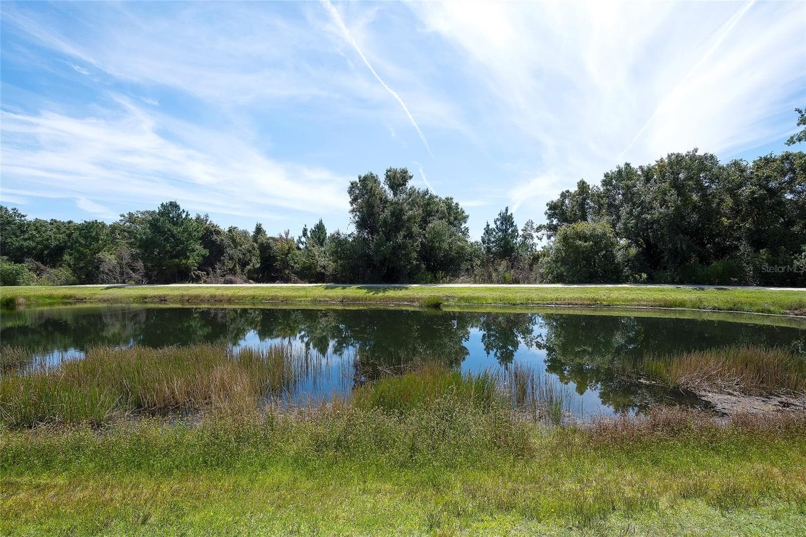 Pond, walking trail, and preserve - 12207 TRAILHEAD DR, BRADENTON