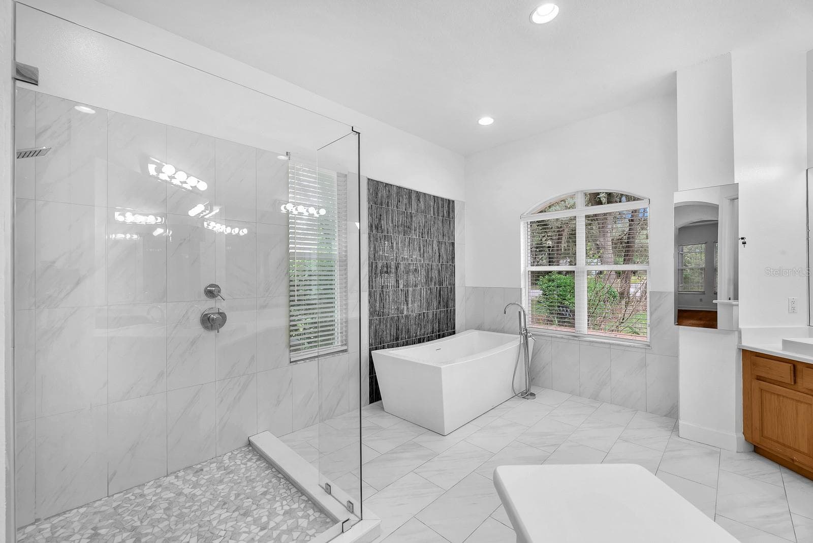Primary luxury bath - 6034 HAMMOCK HILL AVE, LITHIA