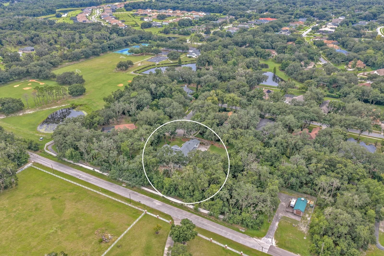 house and community amenities - 6034 HAMMOCK HILL AVE, LITHIA