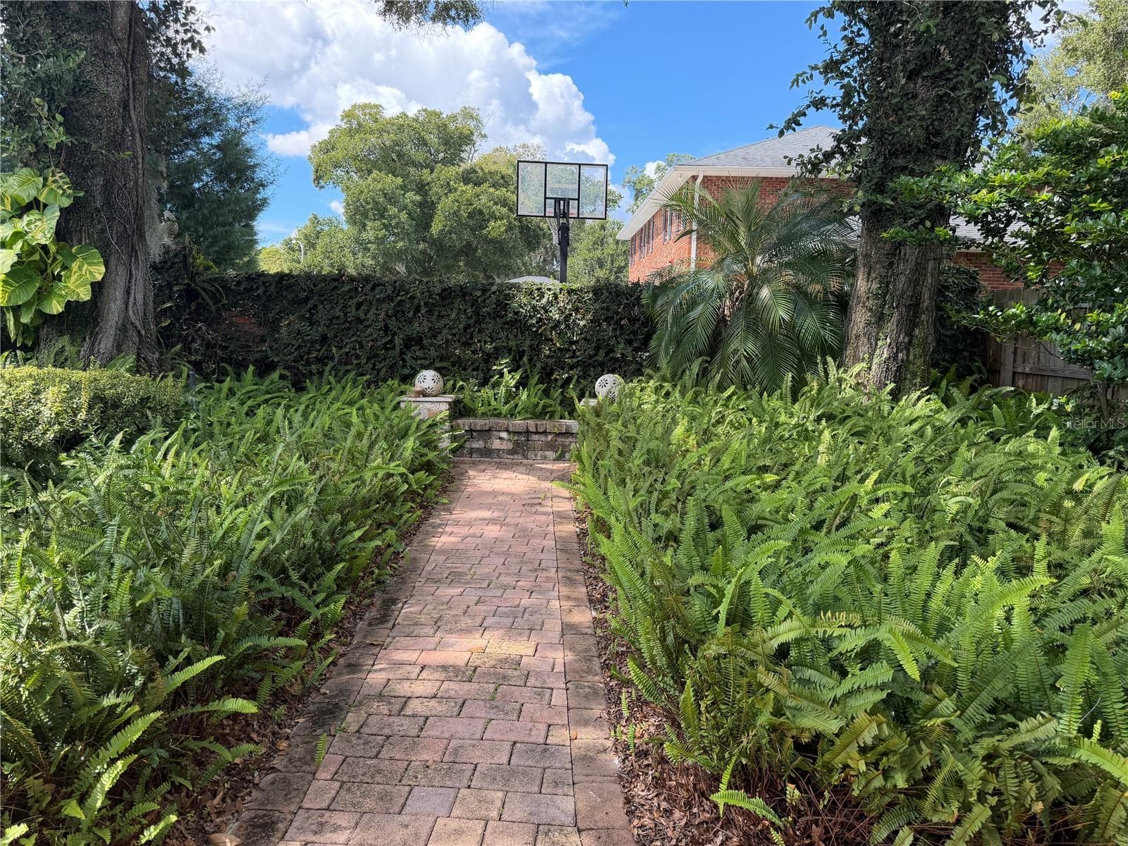 Mature landscaping - 1114 WALD RD, ORLANDO