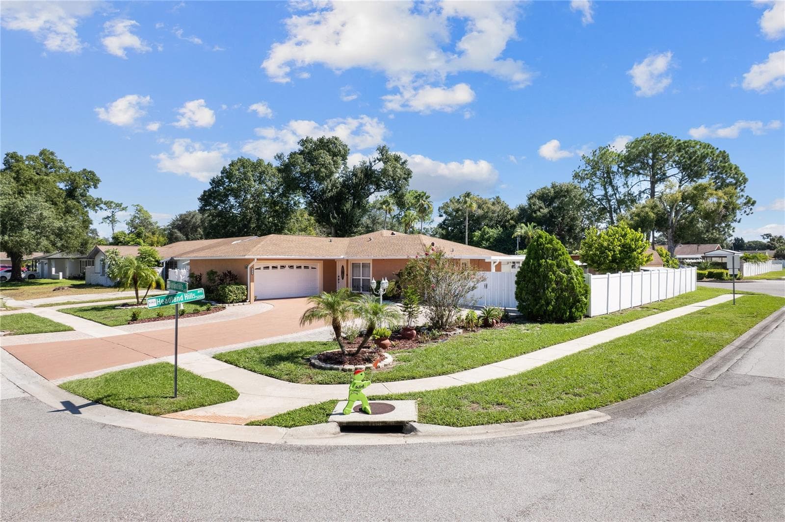 Side street view - 14501 HIGHLAND HILLS PL, TAMPA