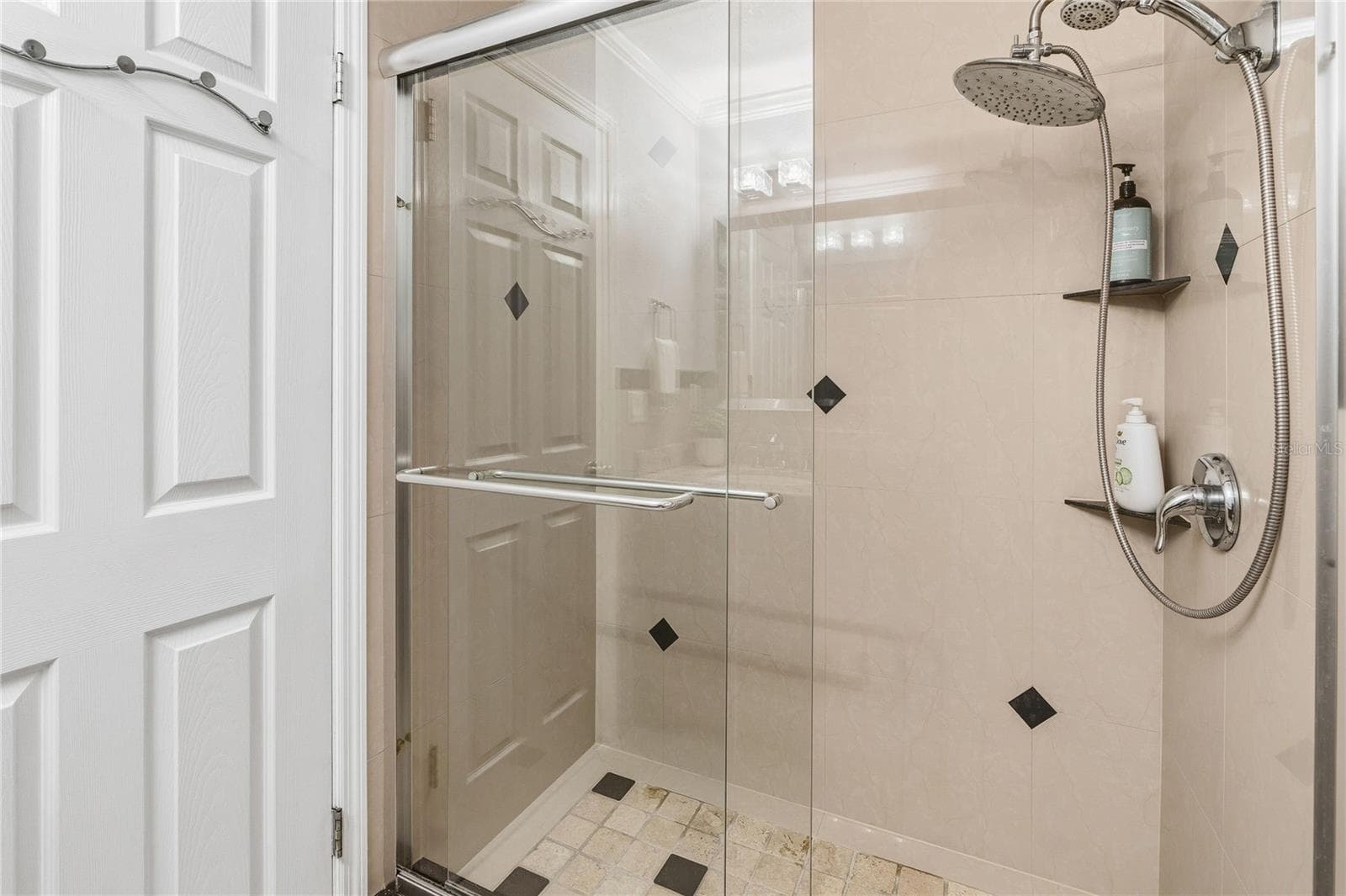 3rd Bathroom - 14501 HIGHLAND HILLS PL, TAMPA